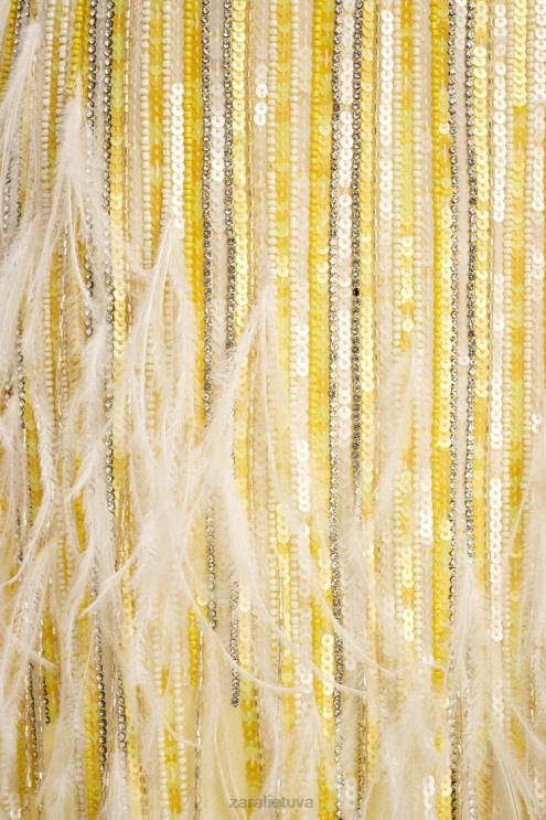 moterys Zara sijonas su plunksnomis, ribotas leidimas geltona apranga 4N488722