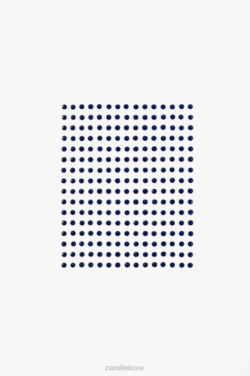 moterys Zara brangakmenių lipdukai originalus priedai 4N488809