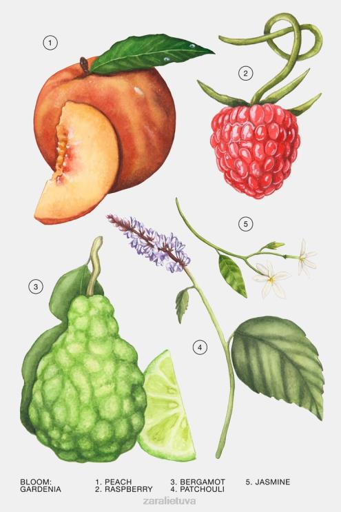 moterys Zara gardenija 30 ml originalus priedai 4N488806