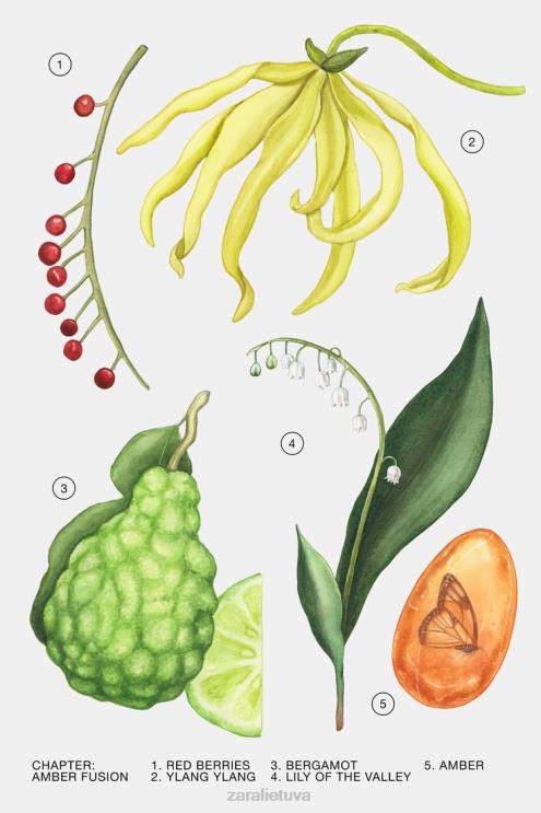 moterys Zara gintaro sintezė 30 ml originalus priedai 4N488780