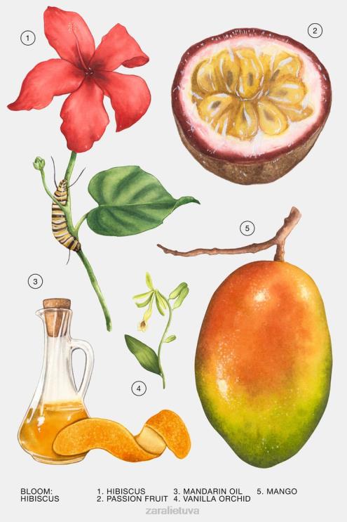 moterys Zara hibiscus 90 ml originalus priedai 4N488803