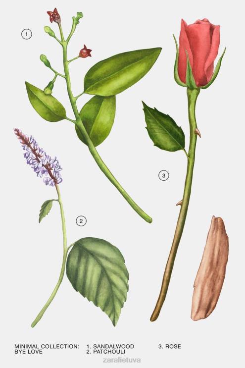 moterys Zara iki meilės 30 ml originalus priedai 4N488802