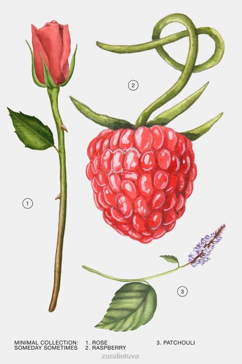 moterys Zara kada nors kartais 30 ml originalus priedai 4N488789