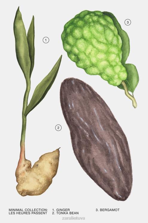 moterys Zara les heures passent 30 ml originalus priedai 4N488794