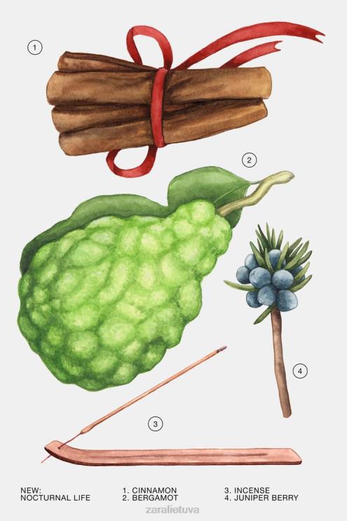 moterys Zara naktinis gyvenimas 80 ml (2,7 fl. uncijos) originalus priedai 4N488770