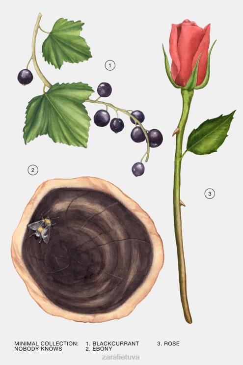 moterys Zara niekas nežino 100 ml originalus priedai 4N488797