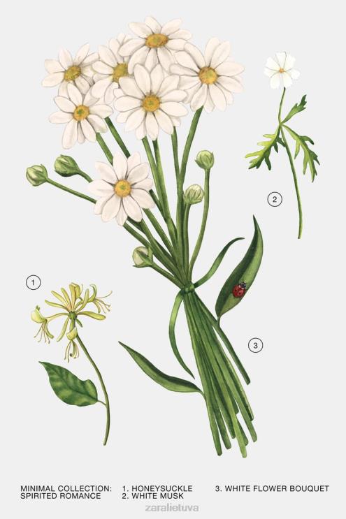 moterys Zara nuotaikinga romantika 100 ml originalus priedai 4N488795