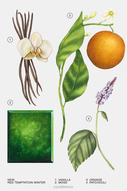 moterys Zara raudona pagunda žiemos 80 ml originalus priedai 4N488769