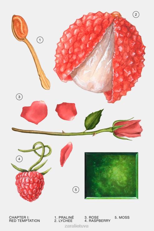 moterys Zara raudona pagunda vasara 80 ml originalus priedai 4N488776