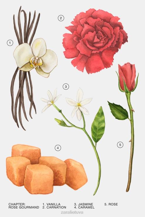 moterys Zara rožių gurmanas 30 ml originalus priedai 4N488784