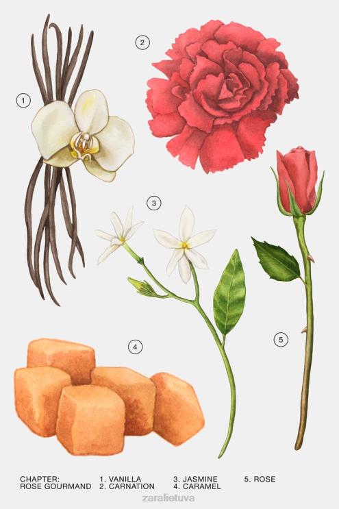 moterys Zara rožių gurmanas 80 ml originalus priedai 4N488783