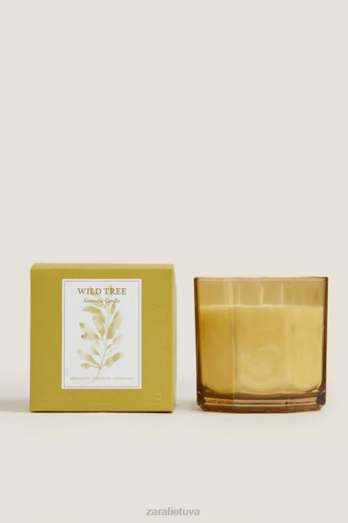 unisex Zara (500 g) laukinių medžių kvapioji žvakė alyvuogių žalia priedai 4N4881764
