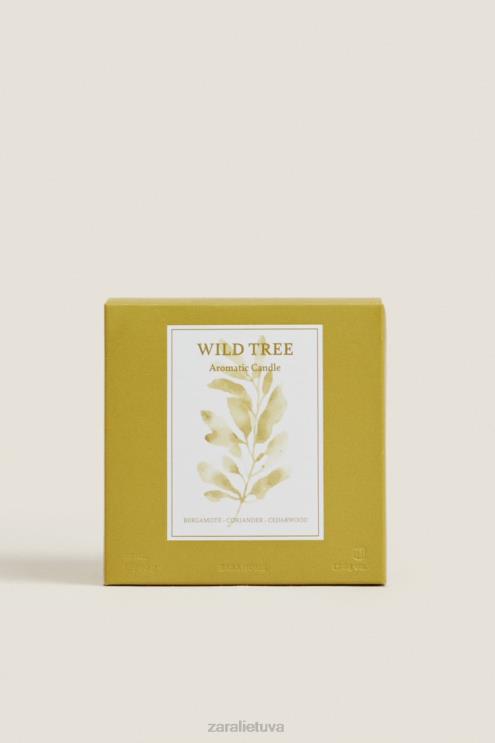 unisex Zara (500 g) laukinių medžių kvapioji žvakė alyvuogių žalia priedai 4N4881764