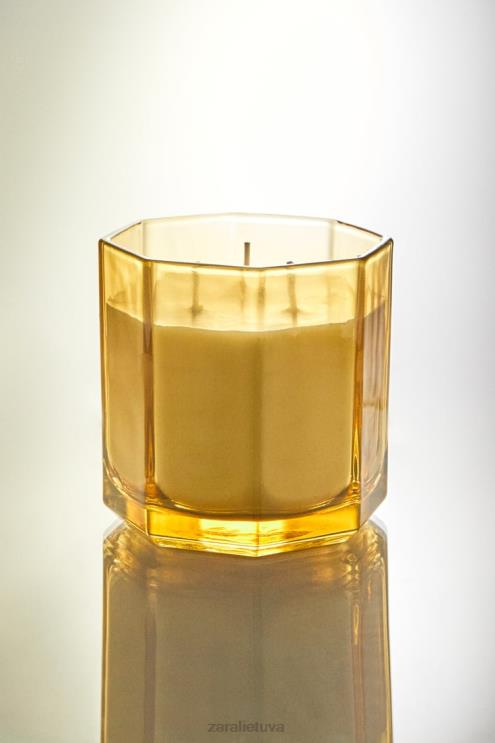 unisex Zara (500 g) laukinių medžių kvapioji žvakė alyvuogių žalia priedai 4N4881764