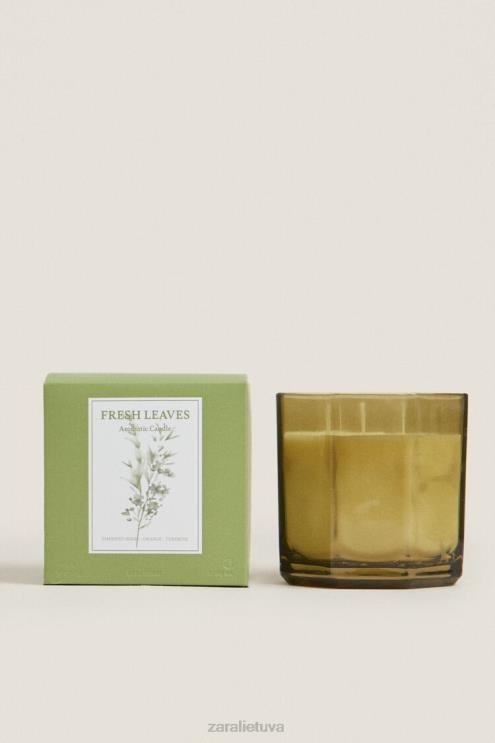 unisex Zara (500 g) šviežių lapų kvapni žvakė žemė priedai 4N4881763