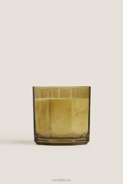 unisex Zara (500 g) šviežių lapų kvapni žvakė žemė priedai 4N4881763