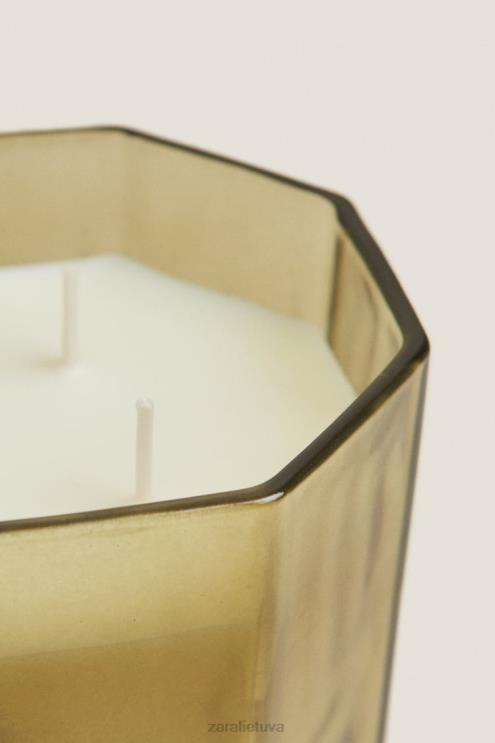 unisex Zara (500 g) šviežių lapų kvapni žvakė žemė priedai 4N4881763