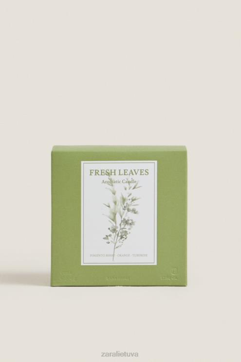 unisex Zara (500 g) šviežių lapų kvapni žvakė žemė priedai 4N4881763