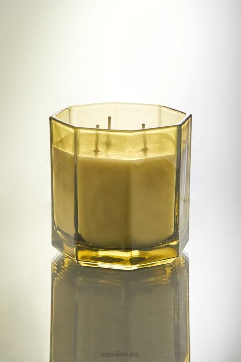 unisex Zara (500 g) šviežių lapų kvapni žvakė žemė priedai 4N4881763