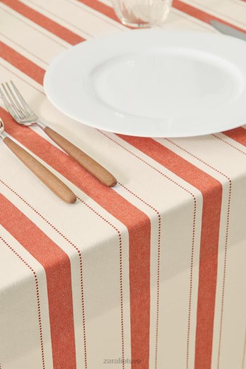 unisex Zara dažytų siūlų dryžuota staltiesė plyta priedai 4N4881664