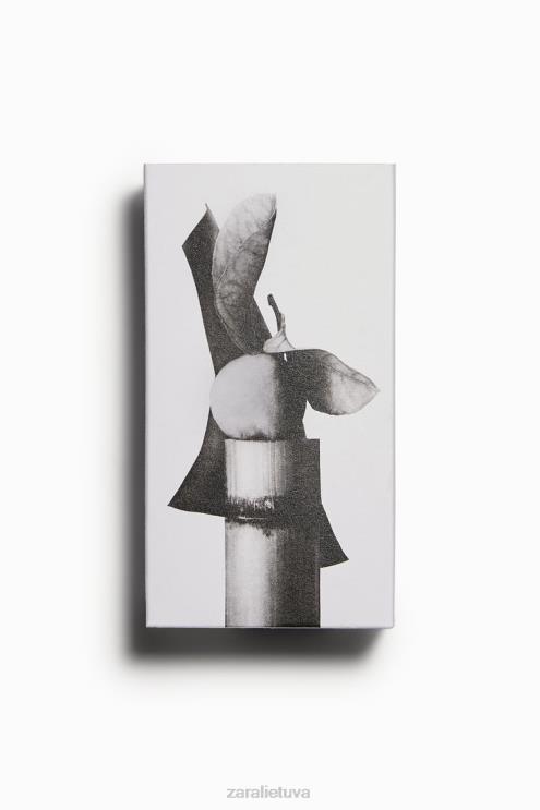 vyrų Zara energinga oda 100 ml originalus priedai 4N4881368